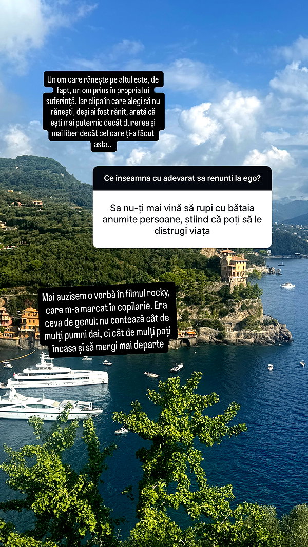 andreeamariavinatoru instagram image archive image