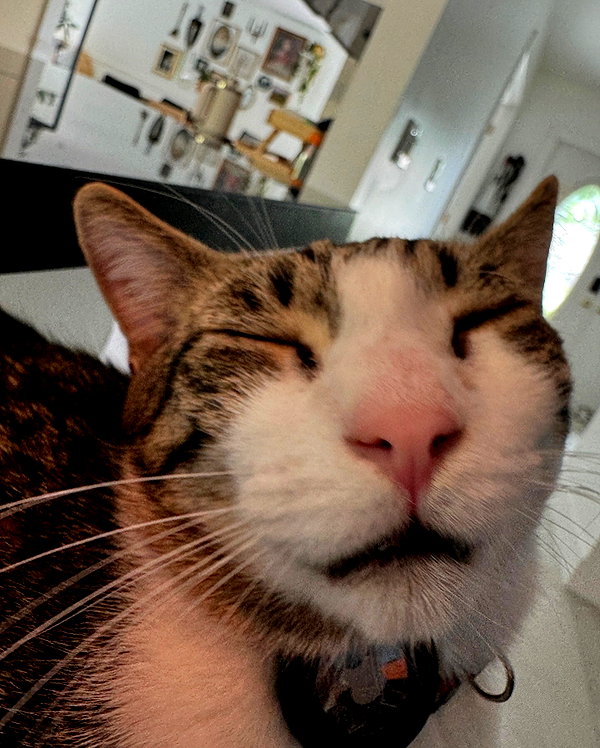 peachtoot.plz instagram image archive image