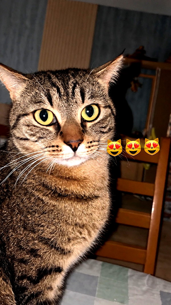 danaegorovaaaa instagram image archive image