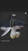 babynympho_archive Altpins Profile Picture