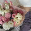 shpaakova Altpins Profile Picture