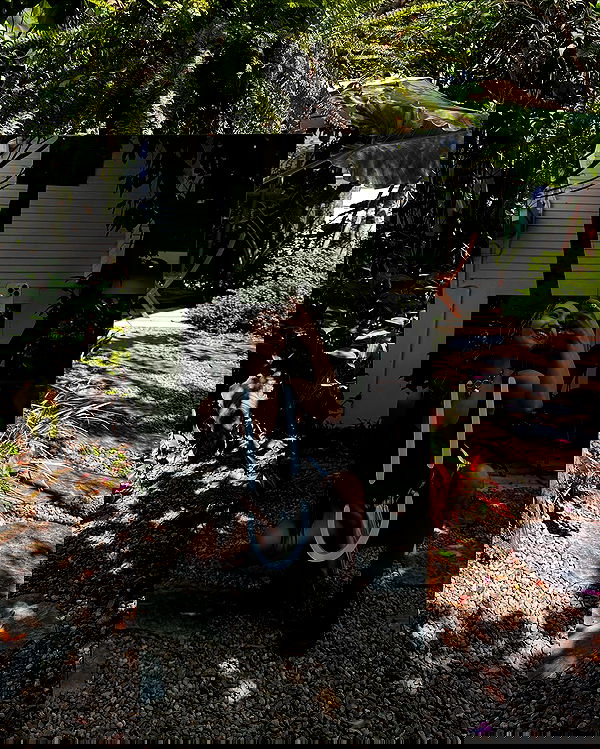 kkulakovaa image ~ Altpins