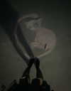 skunk_paww Altpins Profile Picture