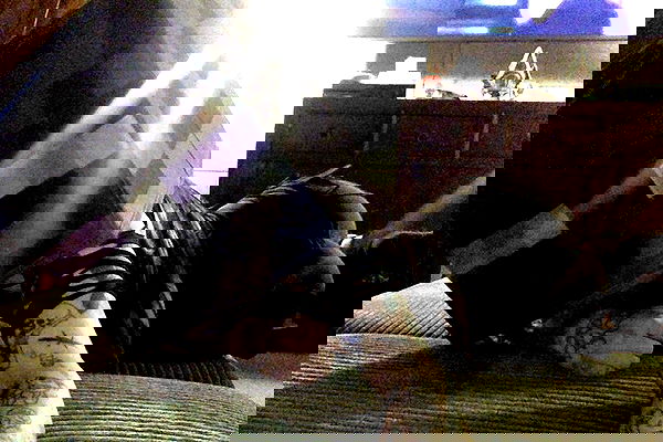 zommmbri zommmbri archive image