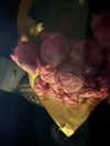 miumiustargirl Altpins Profile Picture