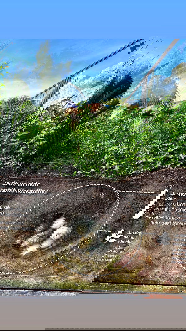 natalllluli natalllluli archive image