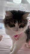 yuna_1_27 Altpins Profile Picture