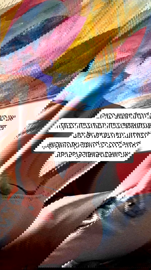 iambohema.v2 iambohema.v2 archive image