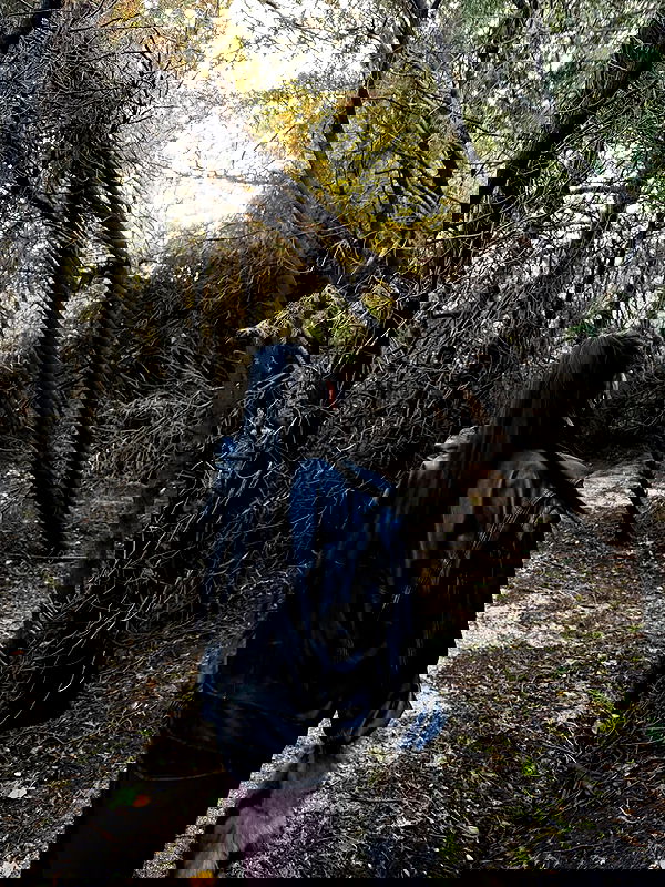 strawberryshanz strawberryshanz archive image