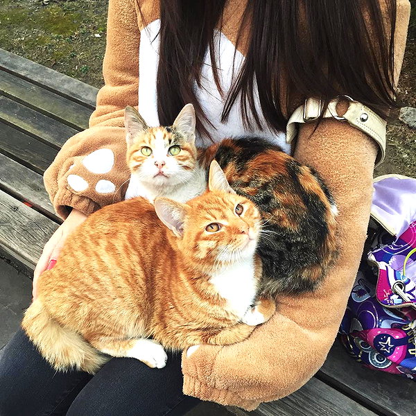 rakukoo instagram image archive image
