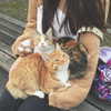 rakukoo Altpins Profile Picture