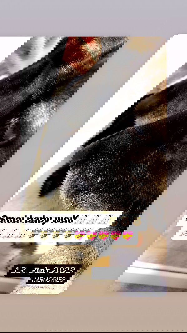 emily_new2 emily_new2 archive image