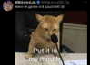 milkiwifey Altpins Profile Picture