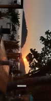 maycohen8 Altpins Profile Picture