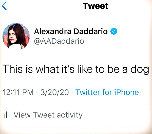 alexandradaddario instagram image archive image