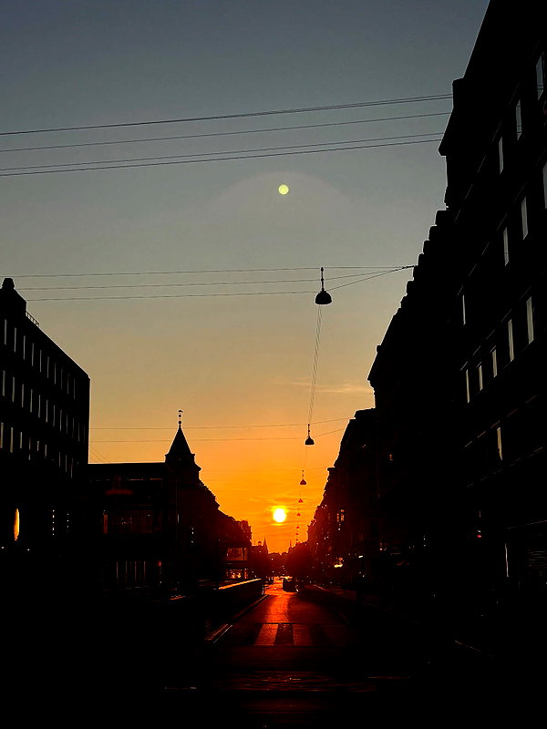 elsgatti instagram image archive image