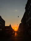 elsgatti Altpins Profile Picture