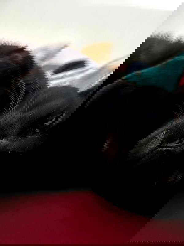 mishel116 mishel116 archive image