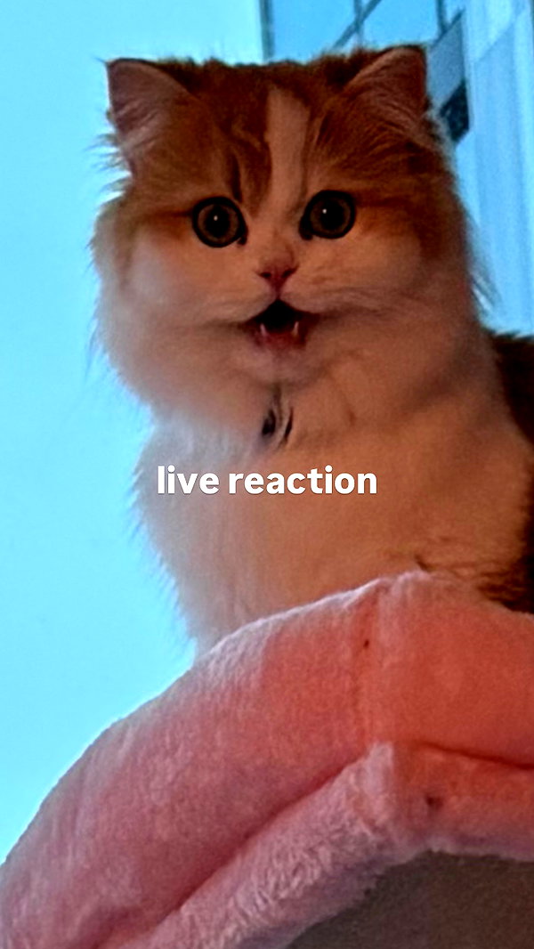 mennyaah instagram image archive image