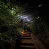 hyeweon__ Altpins Profile Picture