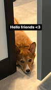 missbrisolo Altpins Profile Picture