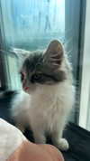 yuna_1_27 Altpins Profile Picture