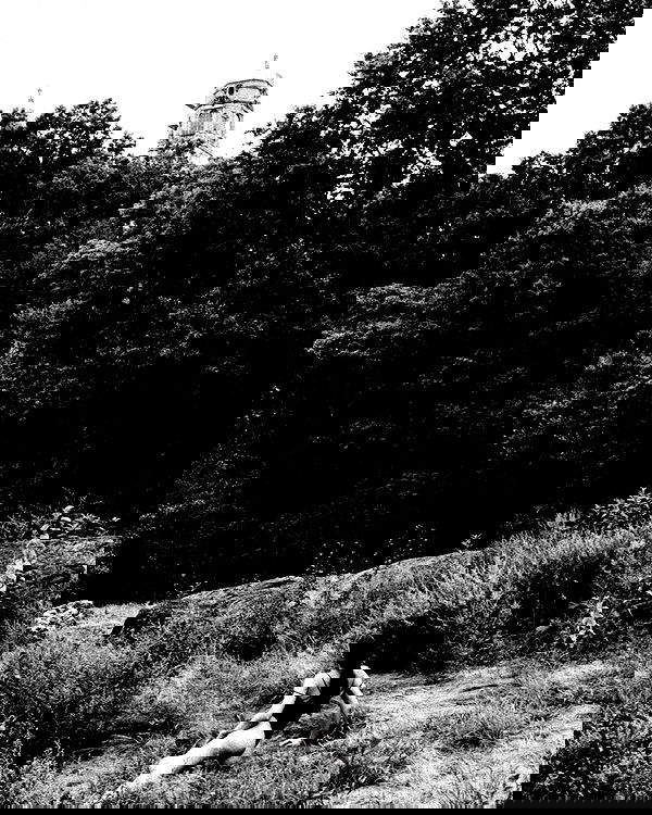 taylor.creeden taylor.creeden archive image