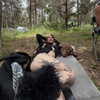 strawberryshanz Altpins Profile Picture