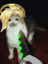_kybelle Altpins Profile Picture