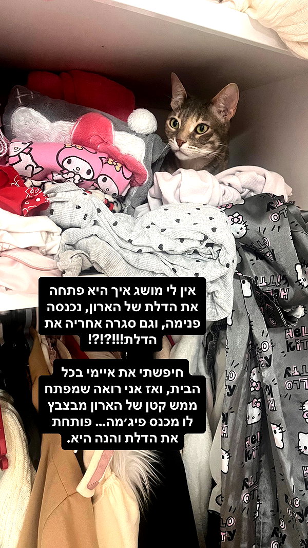 Archived image from @notchicore on Instagram