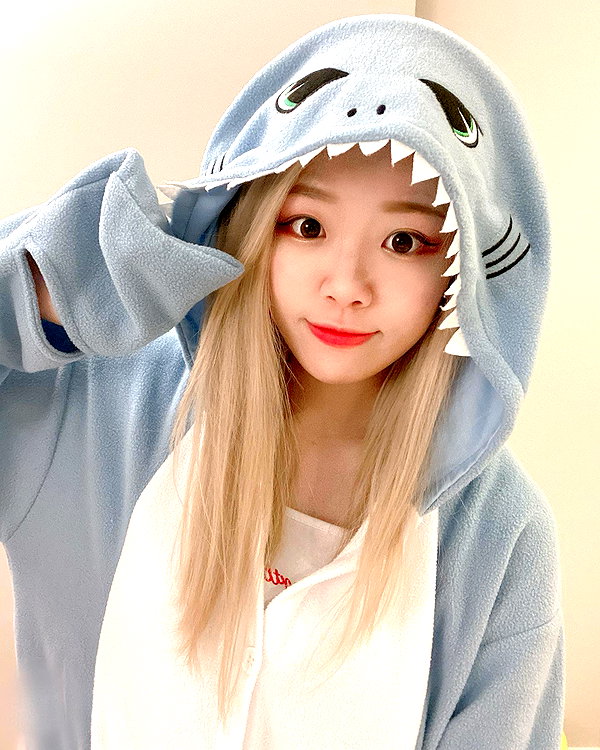 igumdrop instagram image archive image