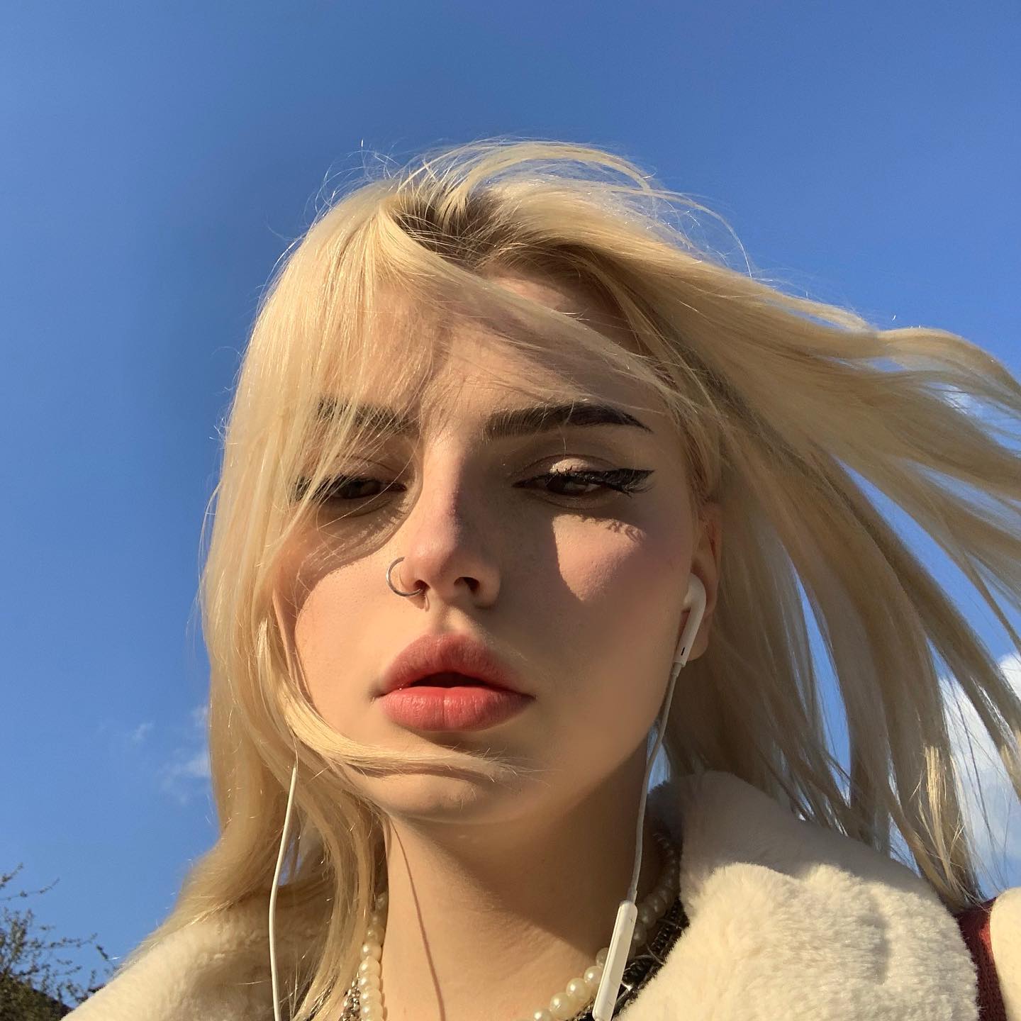 annfigmax instagram image archive image