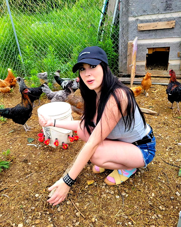 rixiadigivolved instagram image archive image