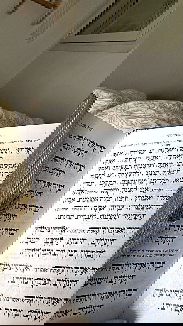 liad.arazi liad.arazi archive image