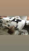 h111allyy Altpins Profile Picture