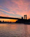 rouxroux.tv Altpins Profile Picture