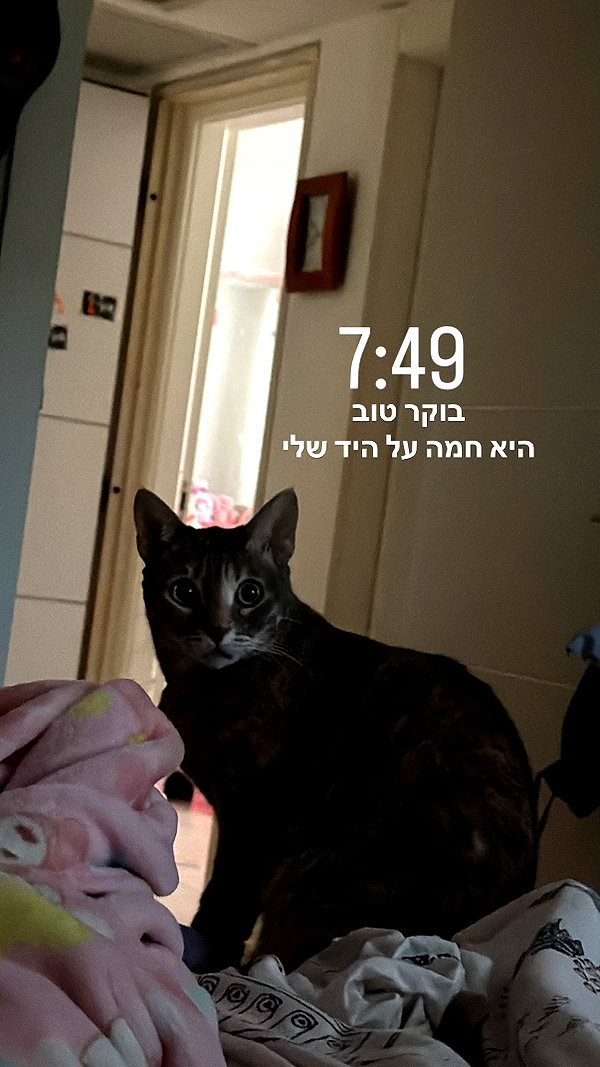 Archived image from @notchicore on Instagram