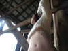 m1lkh8club Altpins Profile Picture