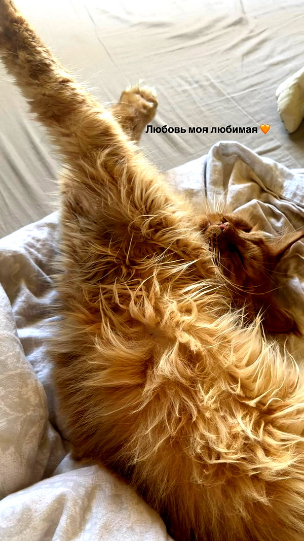 evasidikkk instagram image archive image