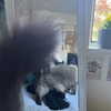 danielle.mercedie Altpins Profile Picture
