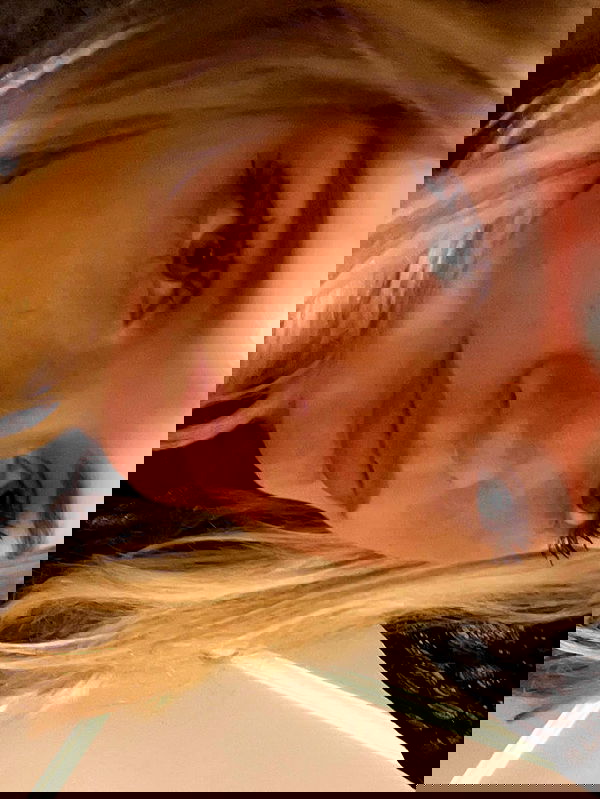 kitty.elliss kitty.elliss archive image