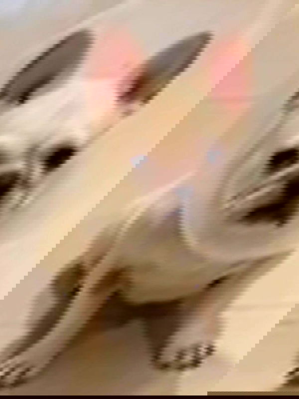 iamdorasnow iamdorasnow archive image