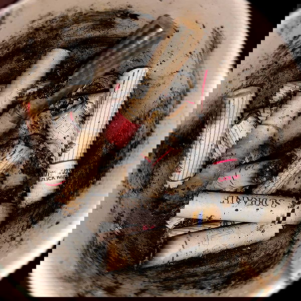 annfigmax image ~ Altpins