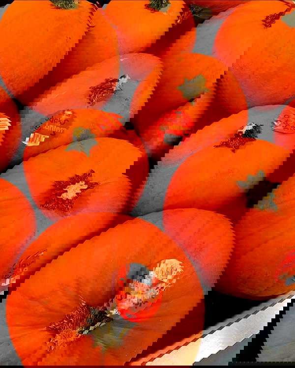 jtilb2 image ~ Altpins