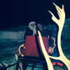 mariahcarey Altpins Profile Picture