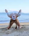 elowen.fawn Altpins Profile Picture