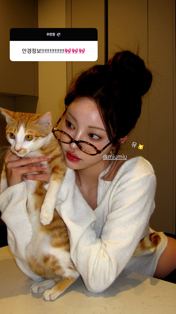 daxbin instagram image archive image
