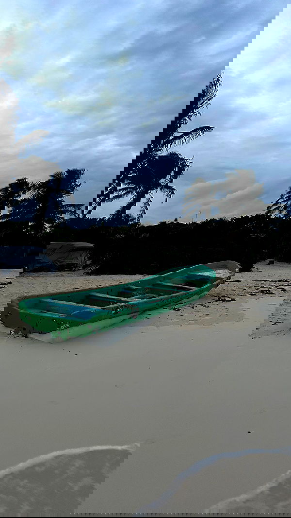 manjolamuriqi manjolamuriqi archive image