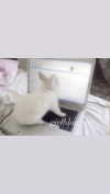 by.diwwa Altpins Profile Picture