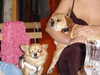 alma.almog Altpins Profile Picture